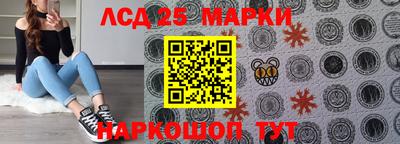 гидра Можга