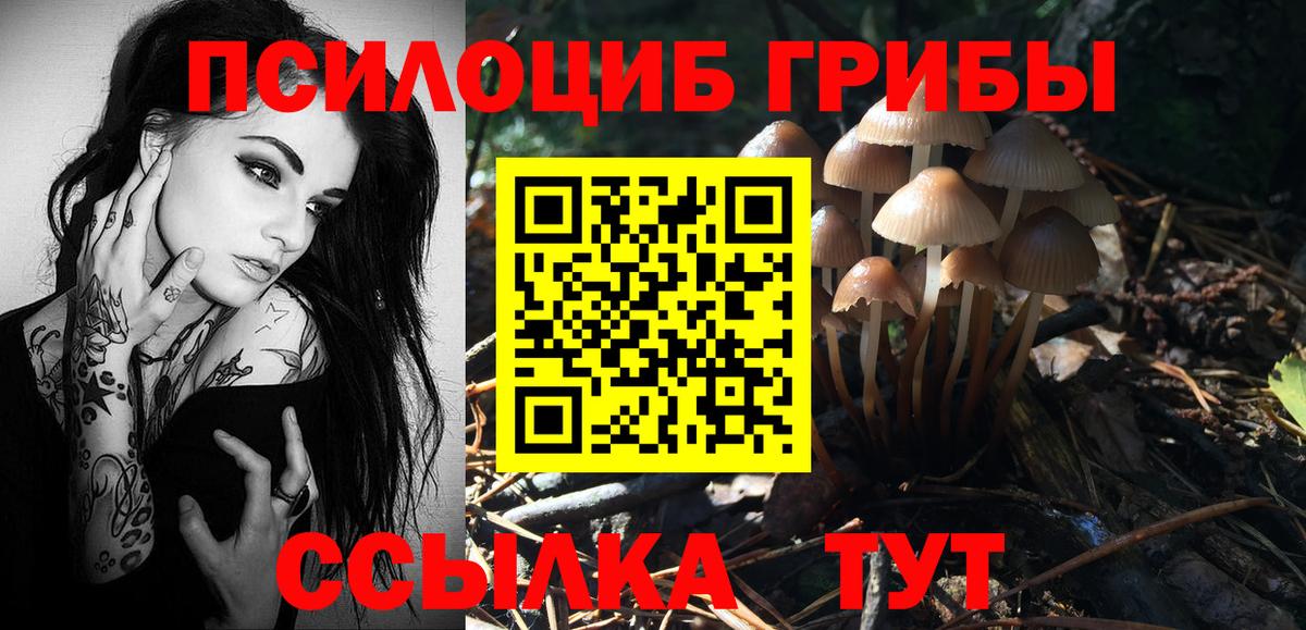 Галлюциногенные грибы прущие грибы  Псилоцибиновые грибы мухоморы  Ухта  Вход с VPN 