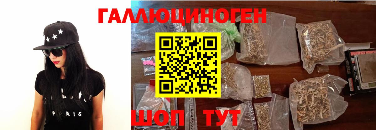 Псилоцибиновые грибы Psilocybe Ухта
